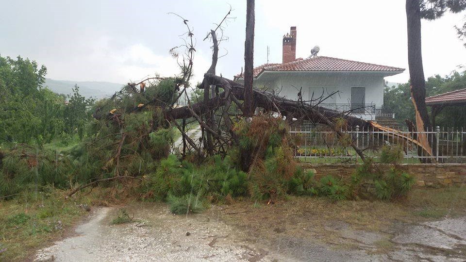 Μπουρίνι προκάλεσε καταστροφές στη Λάρισα – ΦΩΤΟ
