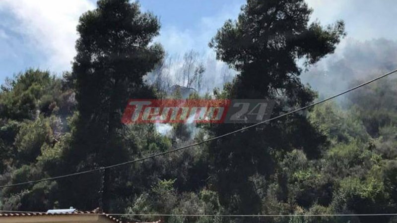 ΦΩΤΟ από την πυρκαγιά στη Ζαχάρω Ηλείας