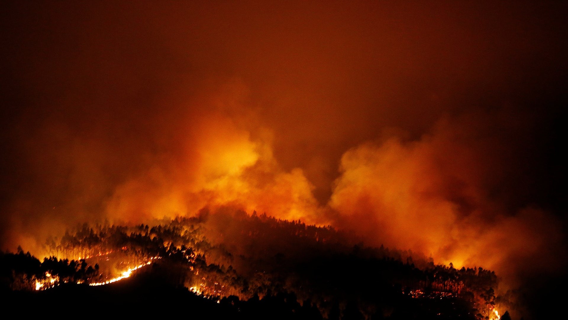 Τουλάχιστον 24 νεκροί από τη φονική πυρκαγιά στην Πορτογαλία – BINTEO