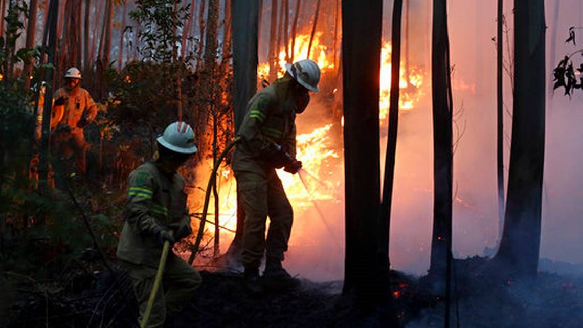 Τραγωδία στην Πορτογαλία – Στους 39 οι νεκροί από την πυρκαγιά – ΒΙΝΤΕΟ