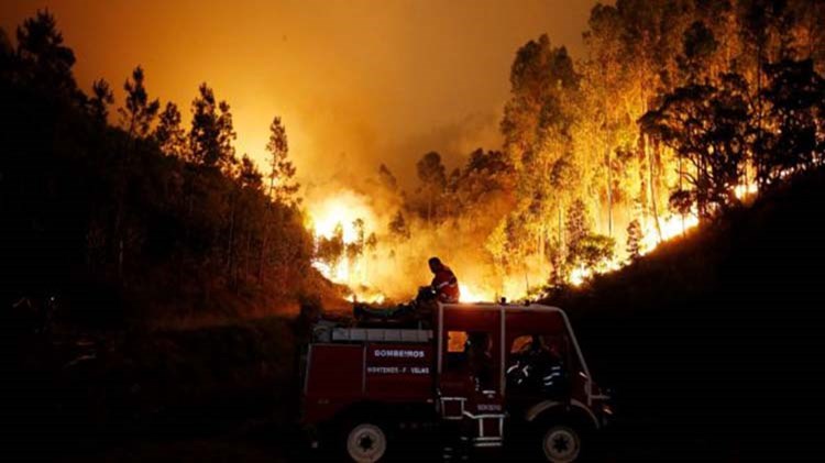 Ανεβαίνει ο τραγικός απολογισμός από την πυρκαγιά στην Πορτογαλία – Στους 57 οι νεκροί