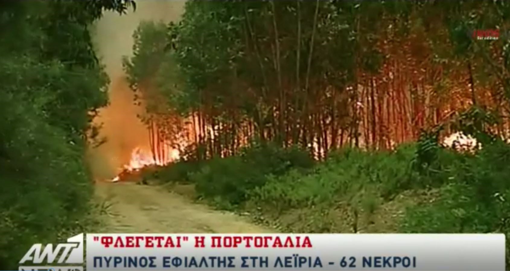 Πύρινος εφιάλτης στην Πορτογαλία – Κάηκαν ζωντανοί μέσα στα αυτοκίνητά τους- ΒΙΝΤΕΟ