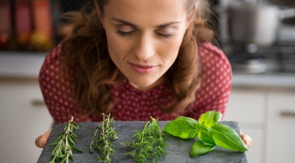 Αυτά είναι τα 5 φυτά που διώχνουν τα κουνούπια