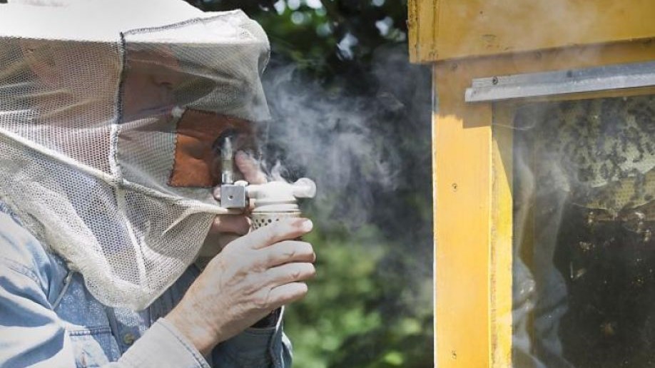 Σητεία – Το “κάπνισμα” των μελισσών του… άναψε φωτιές