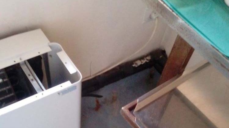 SΟS από τον πρόεδρο της ΠΟΕΔΗΝ μέσω του Realfm 97,8: Υπάρχουν νοσοκομεία χωρίς κλιματισμό – Θα κινδυνεύσουν ζωές