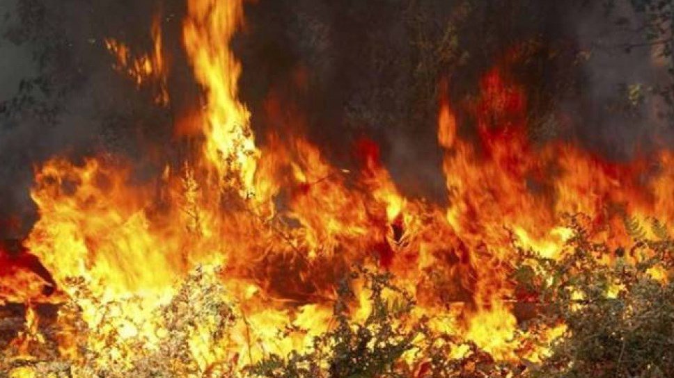 Σε ύφεση η πυρκαγιά στην Κερατέα