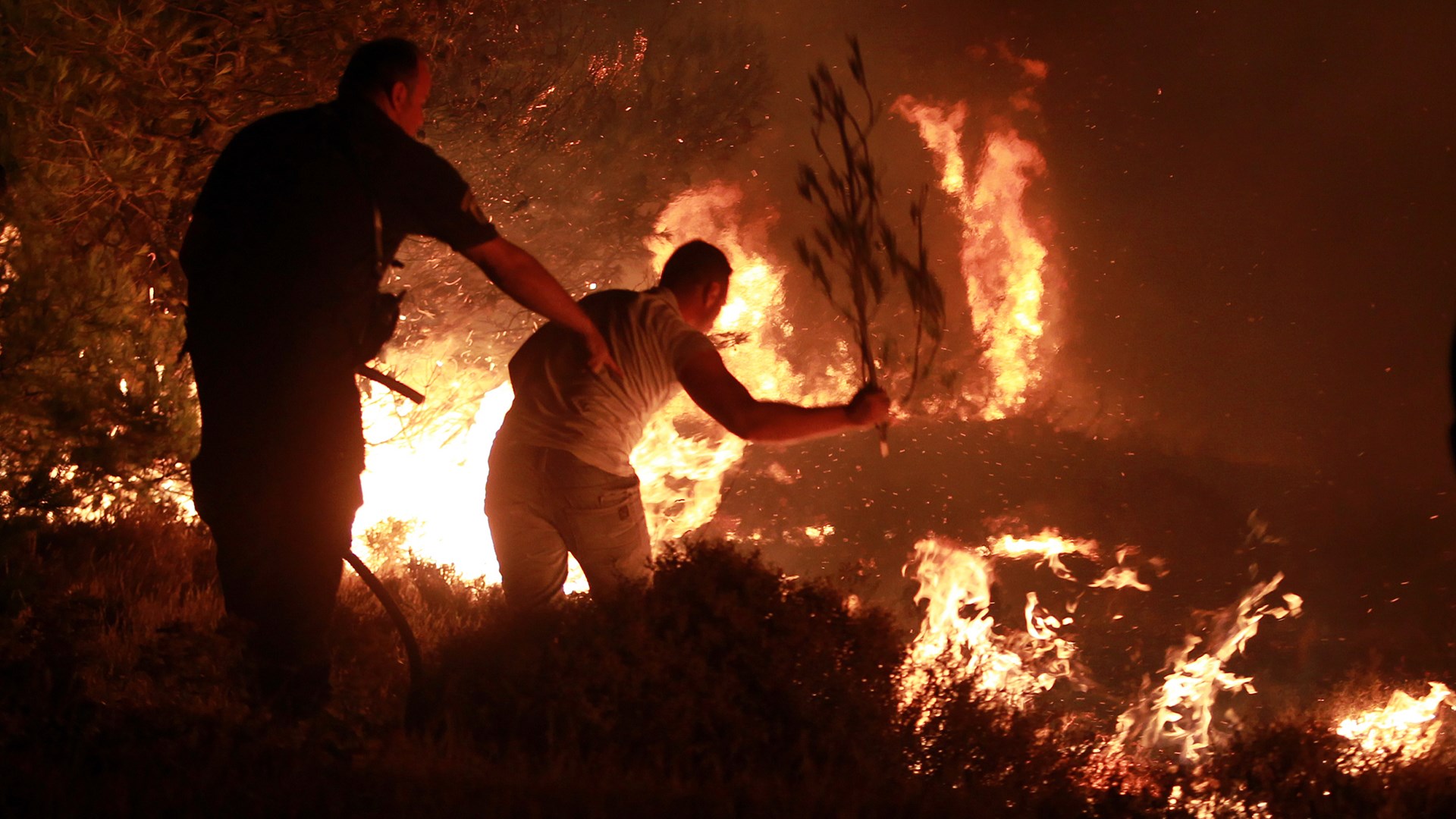 Μεγάλη πυρκαγιά στη Λακωνία – Οι φλόγες μπήκαν στις αυλές σπιτιών