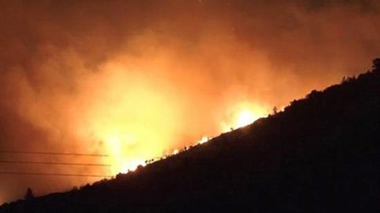 Μήνυση κατά παντός υπευθύνου για τις πυρκαγιές στη Μάνη