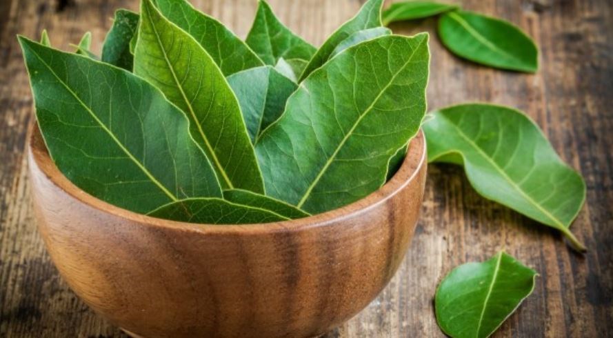 3 φυσικοί τρόποι για να εξαφανίσετε τις κατσαρίδες από το σπίτι σας