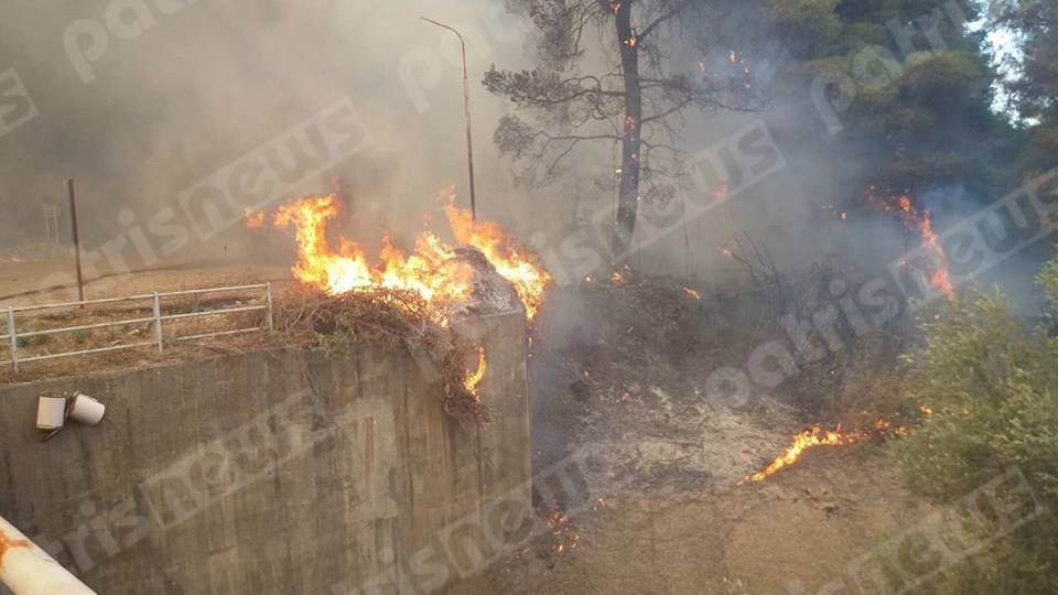 Πυρκαγιά στην Αλφειούσα Ηλείας – ΦΩΤΟ