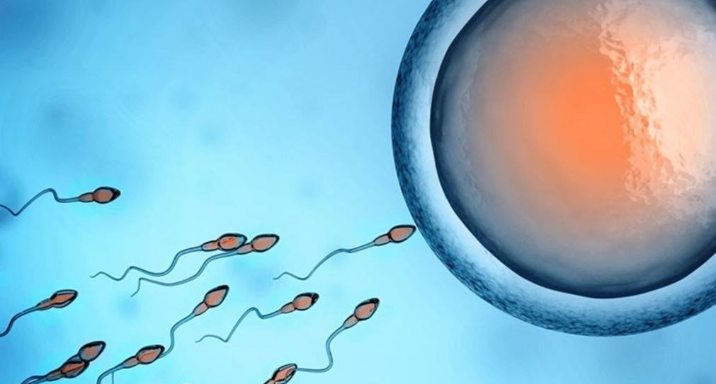 Aνατροπή που σοκάρει – Σε 30 χρόνια το σεξ δεν θα είναι απαραίτητο για τη γέννηση παιδιών