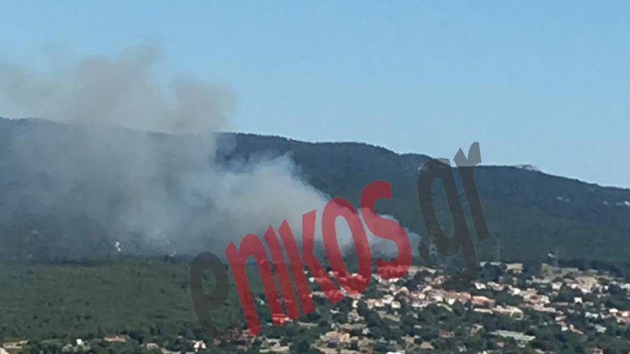 Μεγάλη φωτιά στο Κρυονέρι – ΦΩΤΟ