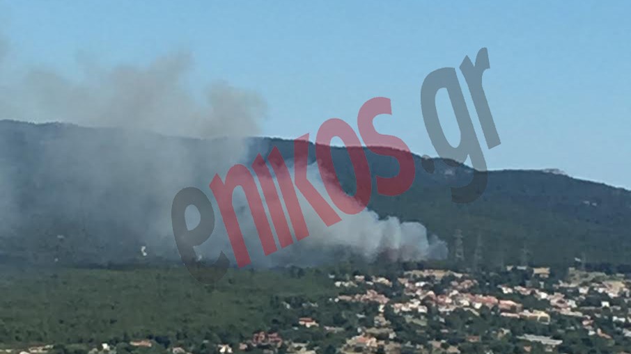 Ο δήμαρχος Διονύσου στο enikos.gr για τη φωτιά στο Κρυονέρι
