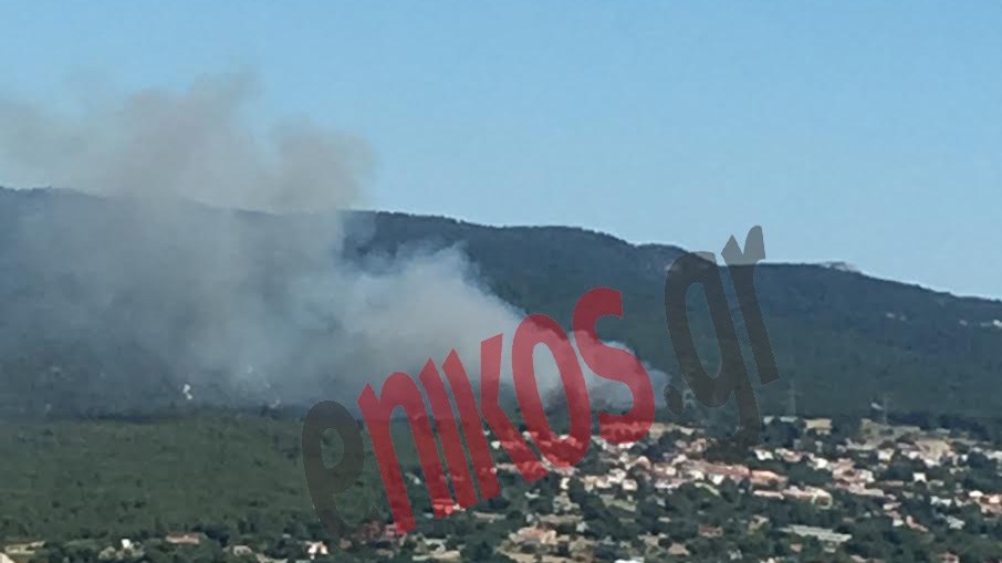 Υπό μερικό έλεγχο η φωτιά στο Κρυονέρι – Σε επιφυλακή για τον κίνδυνο αναζωπυρώσεων