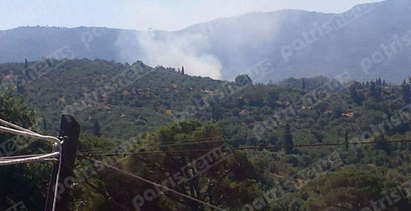 Πυρκαγιά στην Ηλεία – ΦΩΤΟ