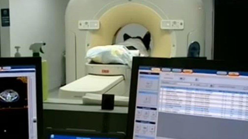 Από δηλητηρίαση ο θάνατος της Ρωσίδας τουρίστριας στην Κρήτη