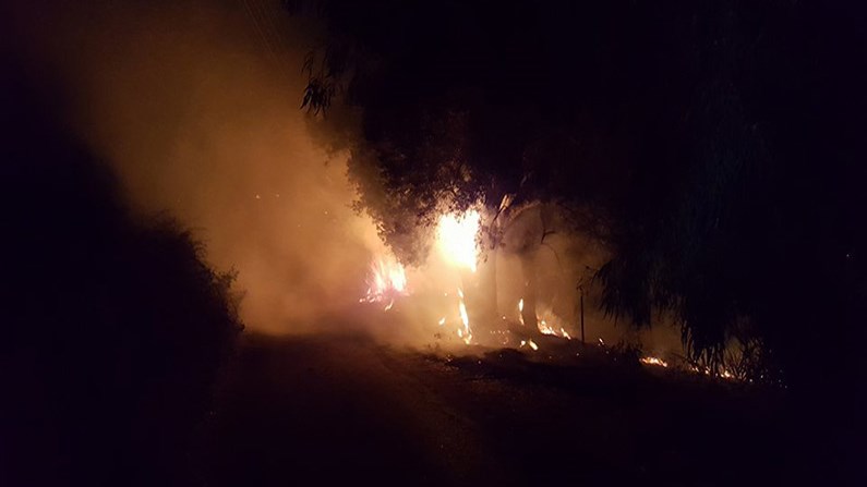 Πύρινη κόλαση στη Ζάκυνθο: Πάνω από 1.000 στρέμματα έχουν γίνει στάχτη στις Ορθονιές