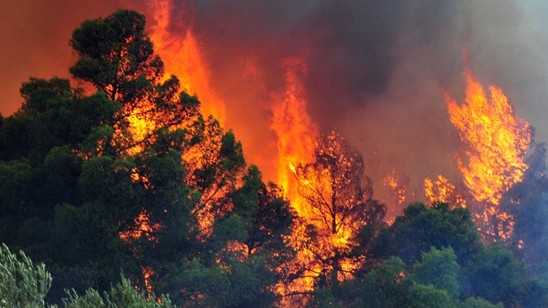 Ολονύκτιος πύρινος εφιάλτης στις Ορθωνιές Ζακύνθου – Εκτός ελέγχου η μεγάλη φωτιά