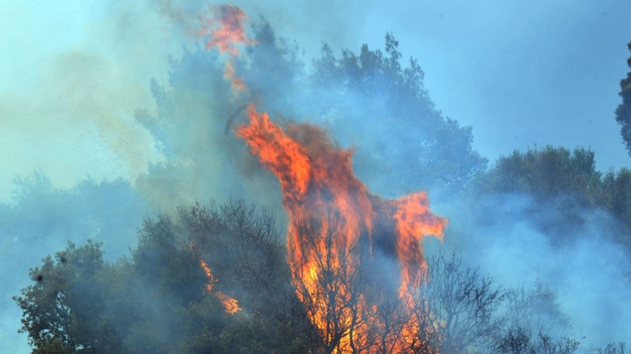 Μεγάλη πυρκαγιά στο Εξωχώρι Μεσσηνίας