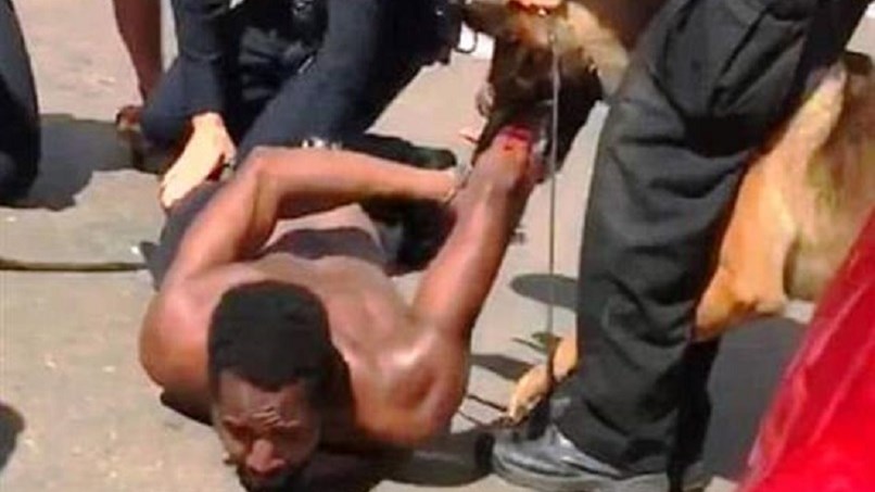 Βίντεο-σοκ με αστυνομικούς που αφήνουν σκύλο να δαγκώσει ύποπτο