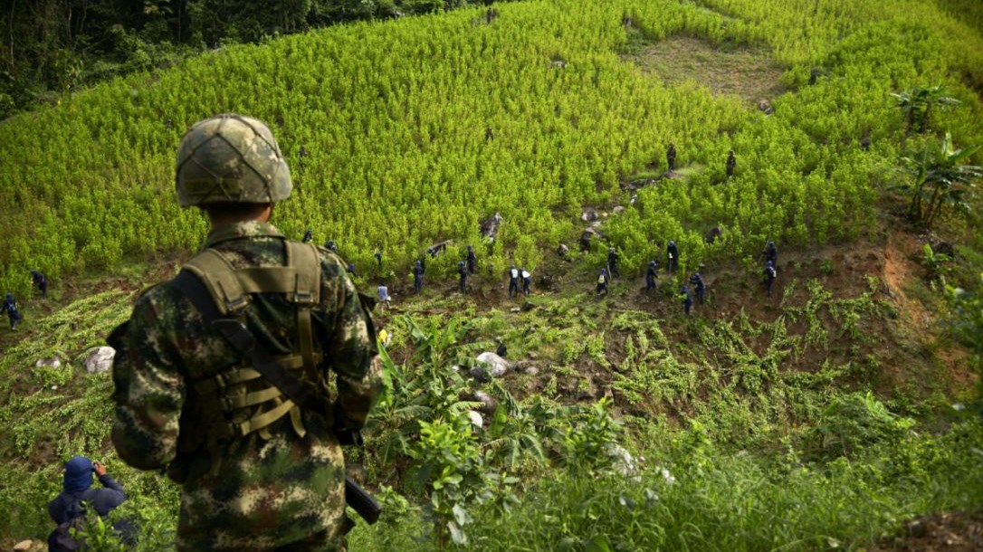 Κολομβία: Οι φυτείες κόκας αυξήθηκαν κατά 52% το 2016