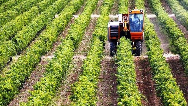 Οι αλλαγές στον ΕΦΚΑ καθυστερούν την καταβολή αγροτικών συντάξεων