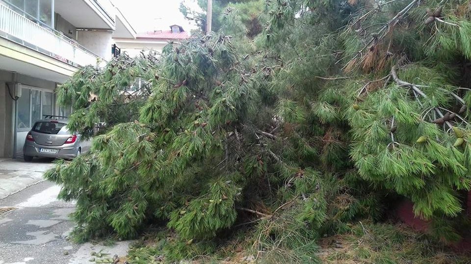 Πολλές καταστροφές από την κακοκαιρία στην Πτολεμαΐδα – ΒΙΝΤΕΟ