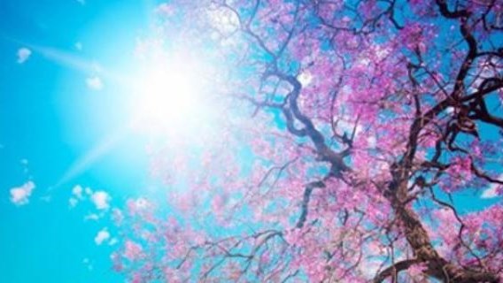 Τι καιρό θα κάνει σήμερα Πέμπτη – Η αναλυτική πρόγνωση 20/7/2017