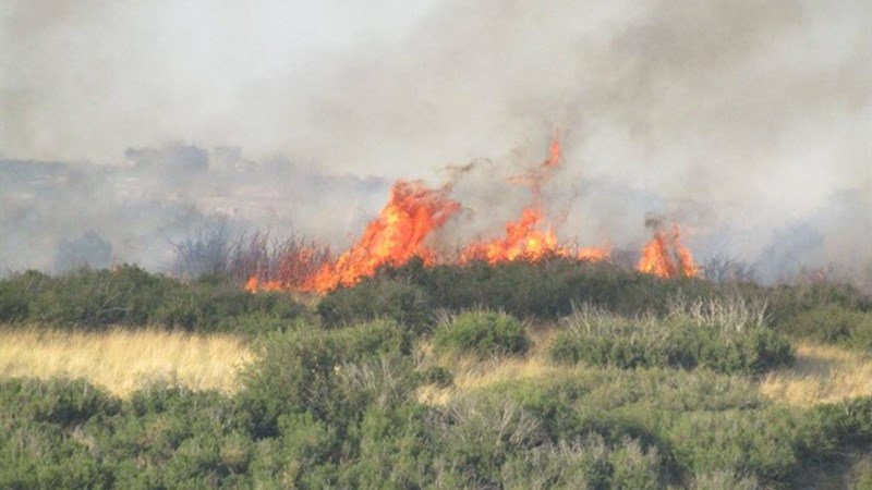 Πυρκαγιά στα Ιωάννινα – ΦΩΤΟ