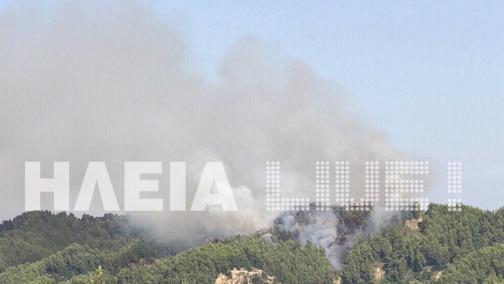 Μεγάλη πυρκαγιά στην Ηλεία – ΒΙΝΤΕΟ