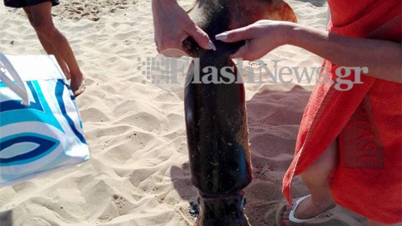 Γυναίκα έπιασε θράψαλο 5 κιλών με ένα… ξύλο – ΦΩΤΟ