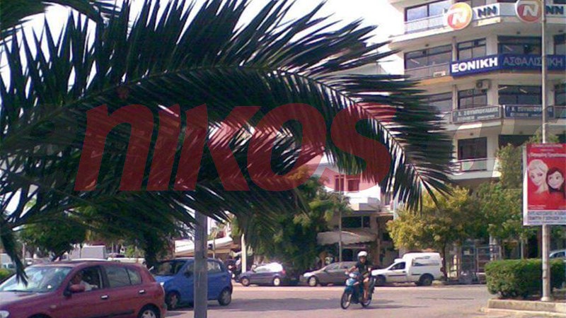 Τα φυτά έκρυψαν την πινακίδα – ΦΩΤΟ αναγνώστη