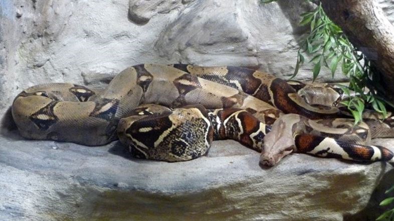 Η πιο περίεργη κλήση που έχει δεχθεί η Πυροσβεστική στις ΗΠΑ