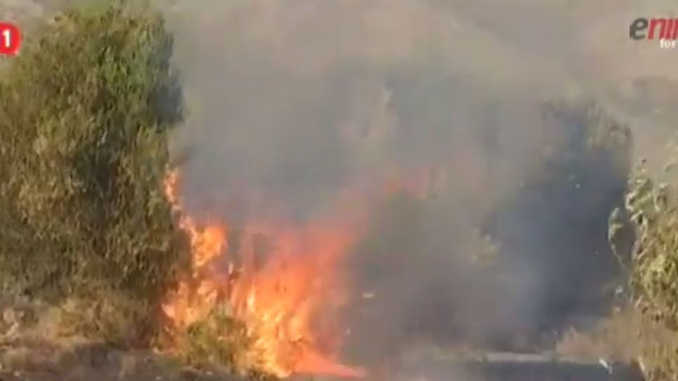 Μαίνεται η μεγάλη πυρκαγιά στα Καλύβια – Κατευθύνεται προς Ανάβυσσο – ΒΙΝΤΕΟ