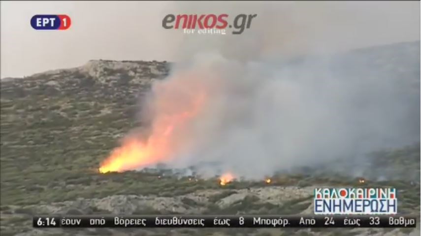 Συνεχείς αναζωπυρώσεις στο μέτωπο της Αναβύσσου – ΒΙΝΤΕΟ – ΦΩΤΟ