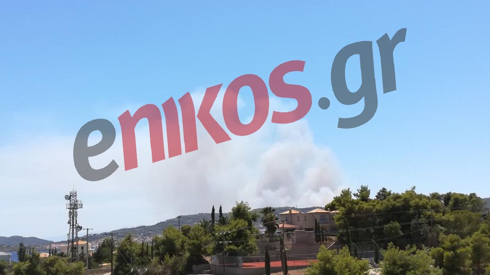 Σε εξέλιξη η πυρκαγιά στις Σπέτσες – Επιχειρούν τρία καναντέρ – ΦΩΤΟ αναγνώστη