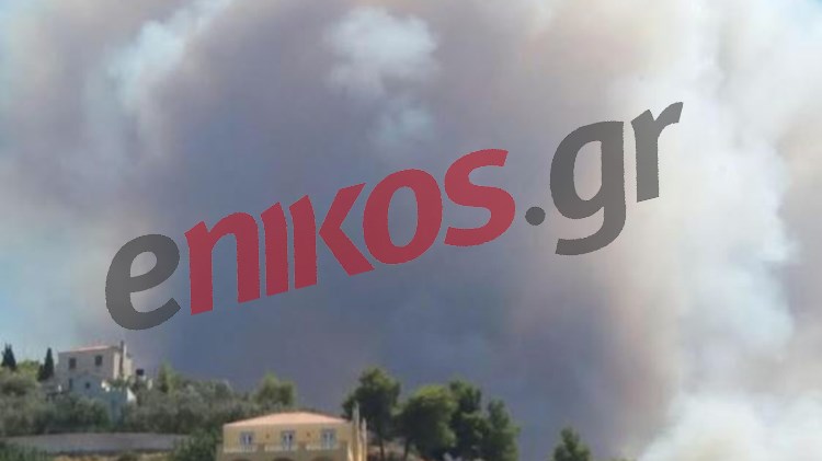 Κοντά σε σπίτια η πυρκαγιά στις Σπέτσες – ΒΙΝΤΕΟ αναγνώστη