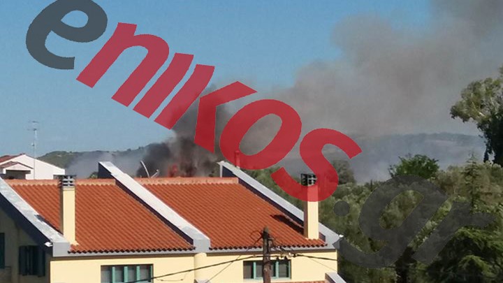 Δίπλα στα σπίτια η πυρκαγιά στην Αμαλιάδα – ΦΩΤΟ αναγνώστη
