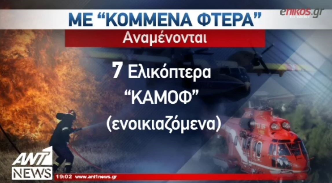 Με “κομμένα φτερά” η δασοπυρόσβεση – ΒΙΝΤΕΟ