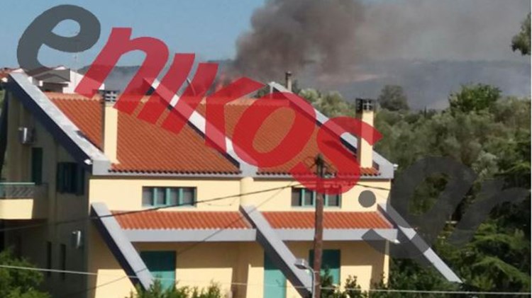 Υπό μερικό έλεγχο η πυρκαγιά στην Αμαλιάδα – ΤΩΡΑ