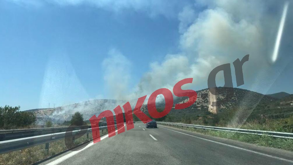 Οι πρώτες εικόνες από τη φωτιά στην Καβάλα – ΦΩΤΟ αναγνώστη