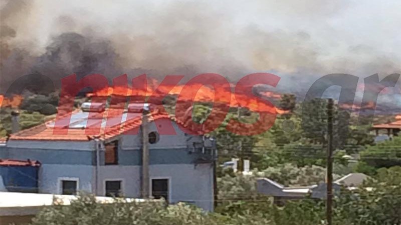 Κοντά στα σπίτια η φωτιά στην Ανάβυσσο – ΦΩΤΟ αναγνώστη