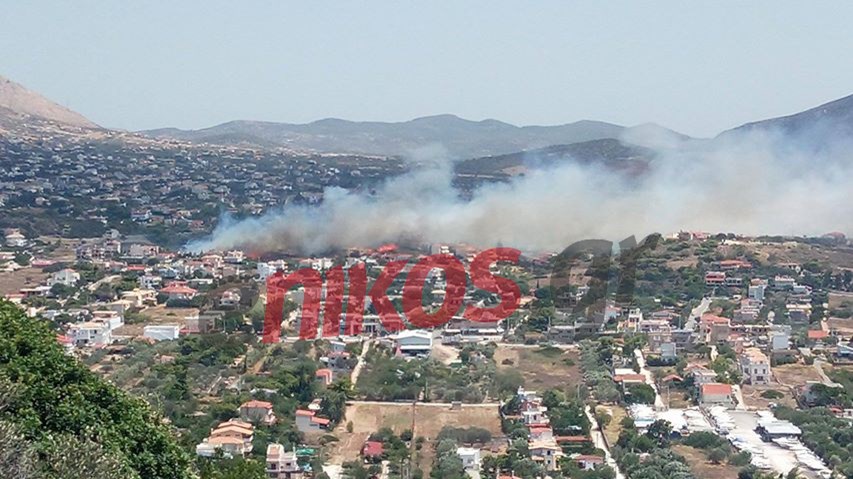 Νέες ΦΩΤΟ από την φωτιά στην Ανάβυσσο – ΤΩΡΑ