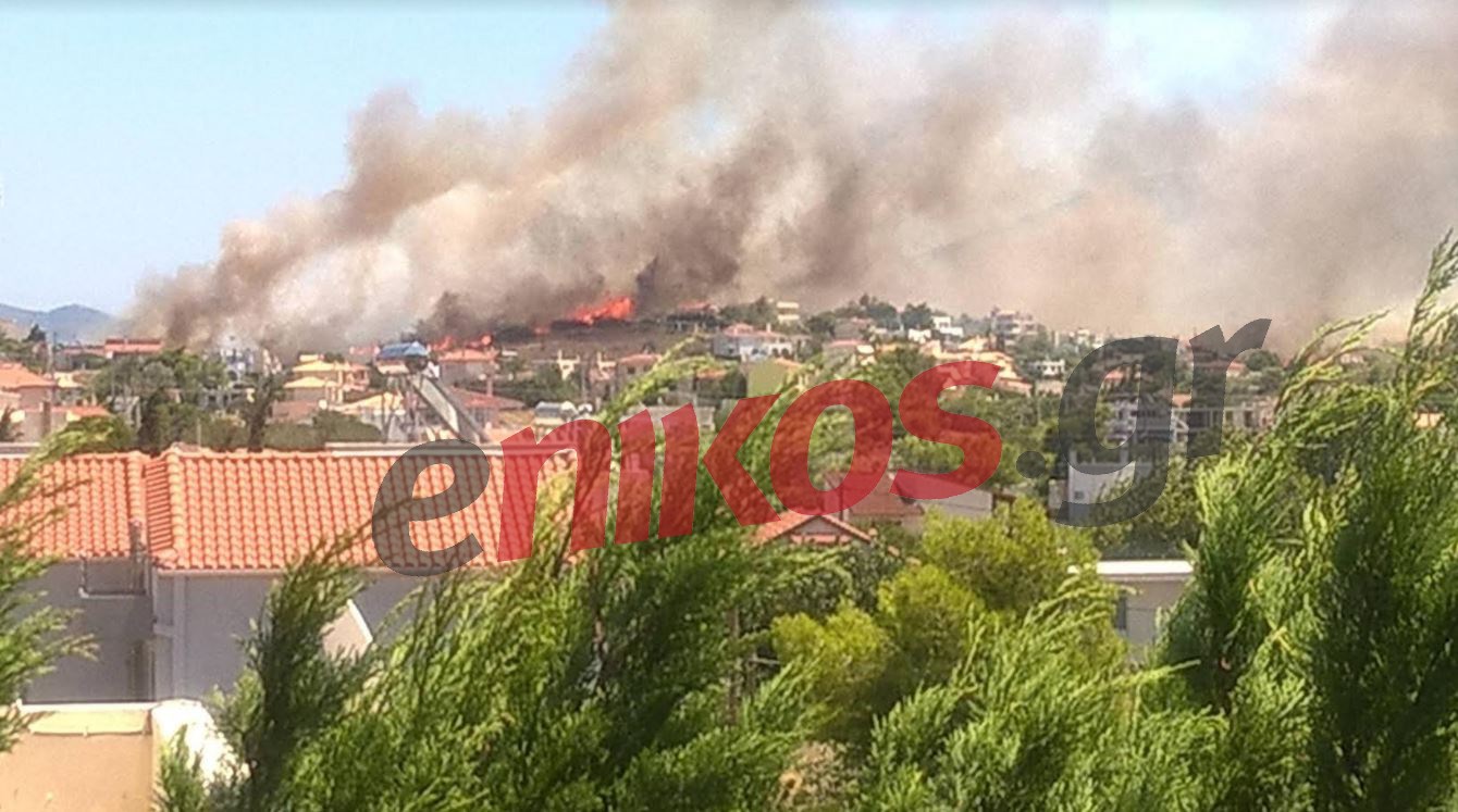 Πύρινη κόλαση στην Ανάβυσσο – Νέες ΦΩΤΟ αναγνώστη – ΤΩΡΑ