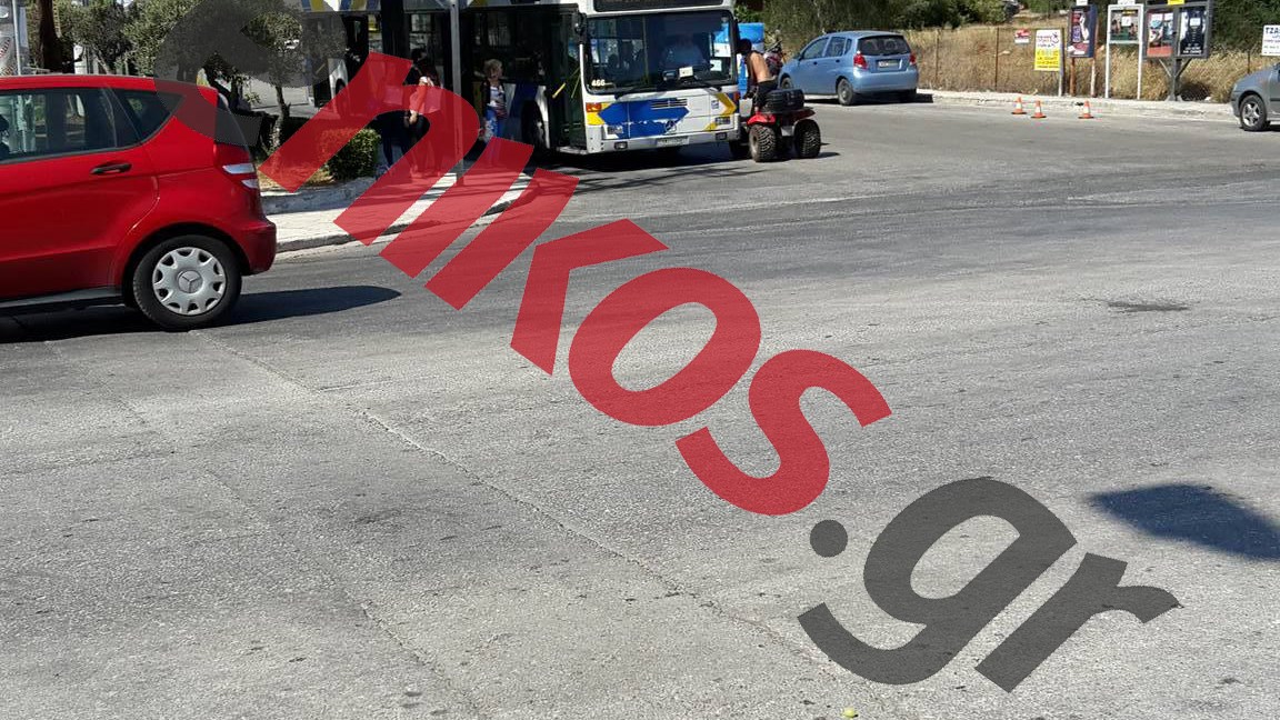 Γουρούνα έπεσε πάνω σε λεωφορείο στη Σαρωνίδα – ΦΩΤΟ αναγνώστη