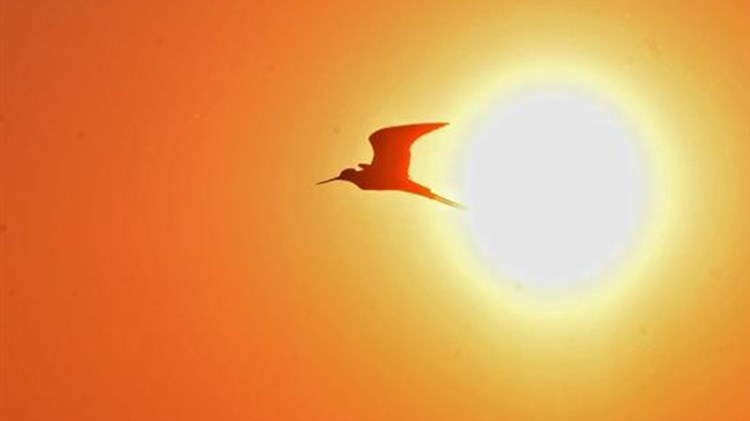 Ανεβαίνει σήμερα η θερμοκρασία – Η αναλυτική πρόγνωση του καιρού 4/8/2017