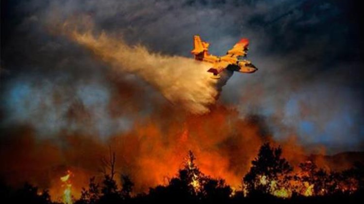 Καίγεται η Ιταλία από καύσωνα και φωτιές – Τουλάχιστον μια νεκρή