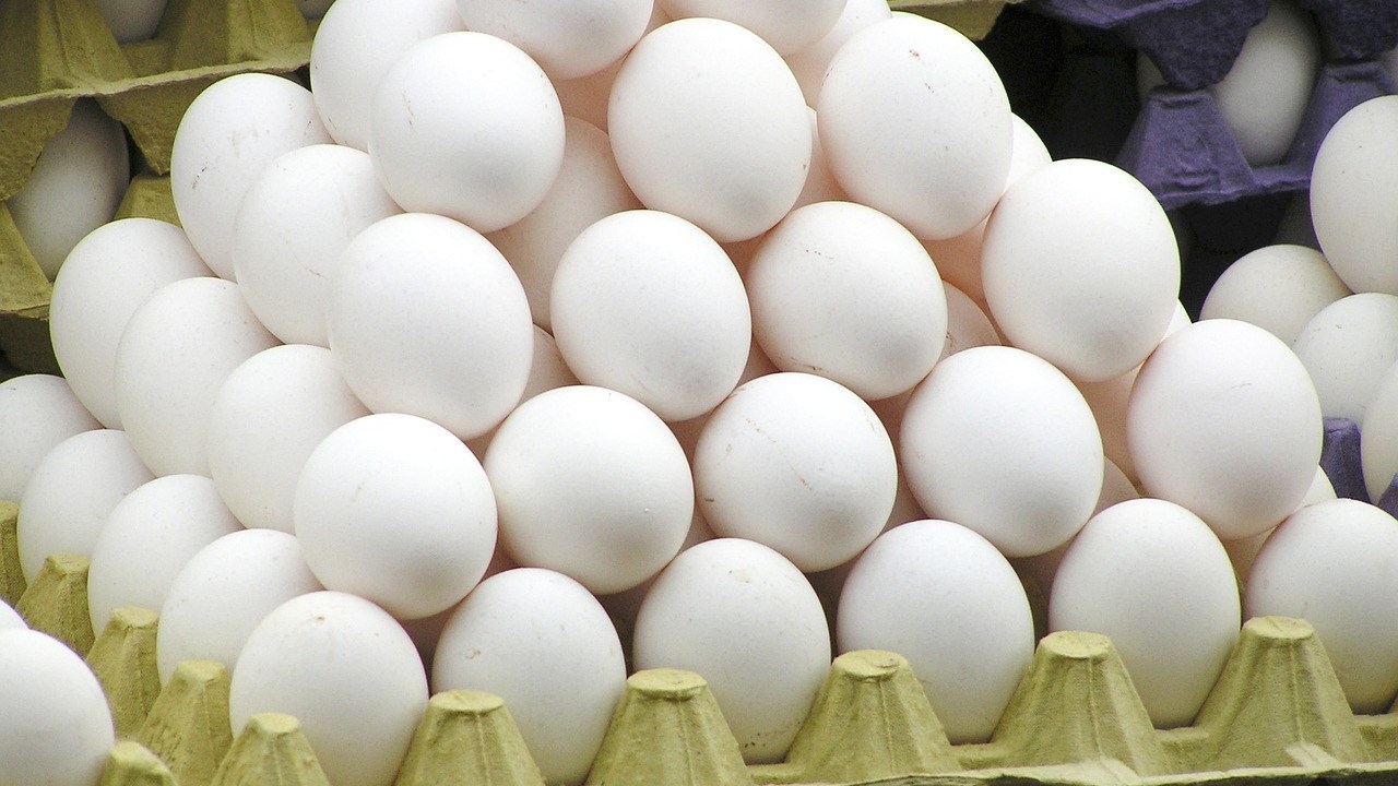 Συναγερμός στην ευρωπαϊκή αγορά – Αποσύρονται αυγά μολυσμένα με εντομοκτόνο