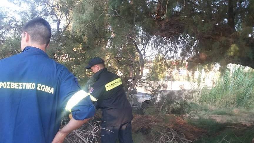 Δέντρο καταπλάκωσε αυτοκίνητο στην Κρήτη – ΦΩΤΟ