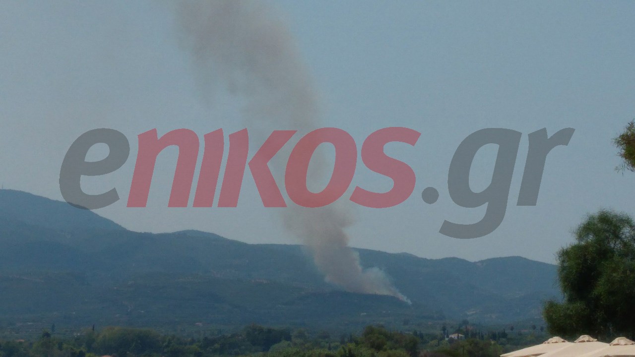 Φωτιά στη Μεσσηνία – ΦΩΤΟ αναγνώστη